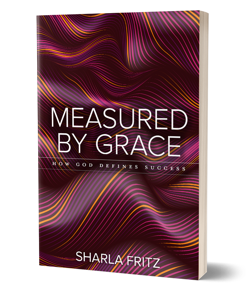 measured-by-grace-3d